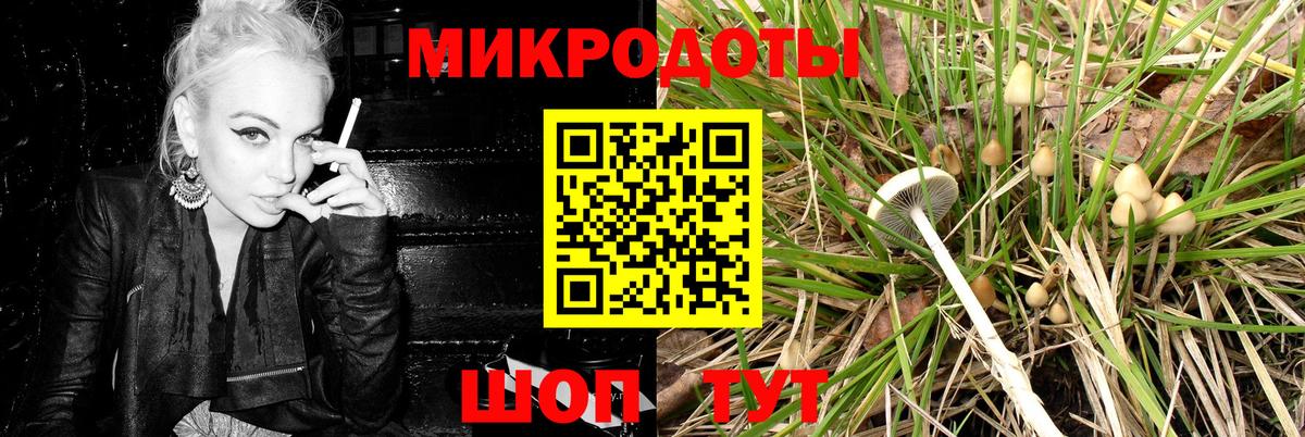 Галлюциногенные грибы Psilocybe Соль-Илецк