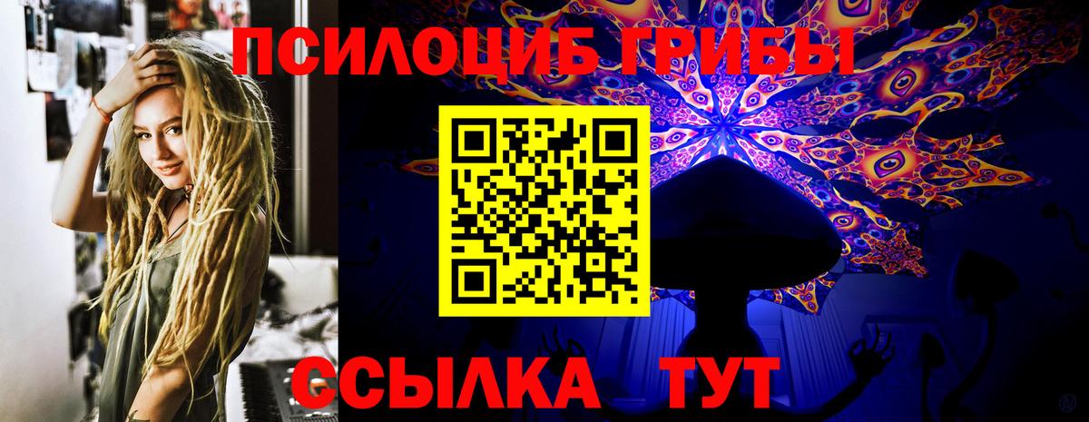 Соль-Илецк  Галлюциногенные грибы MAGIC MUSHROOMS  Вход с VPN 